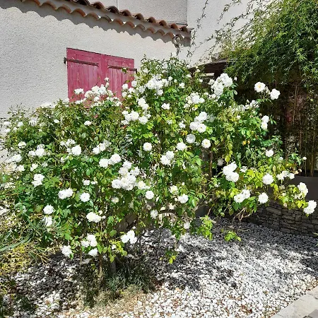 Hébergement de vacances Le Petit Mazet