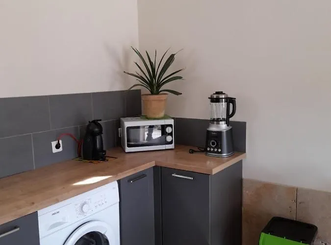 Le Petit Mazet Dom wakacyjny Montfaucon (Gard)