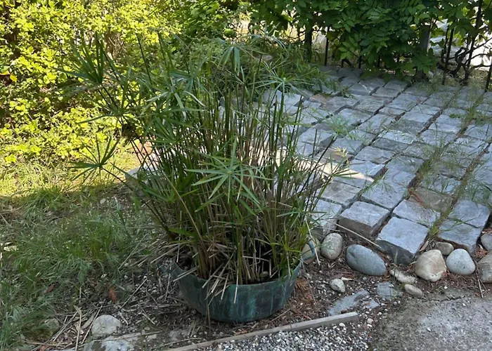 Dom wakacyjny Le Petit Mazet *